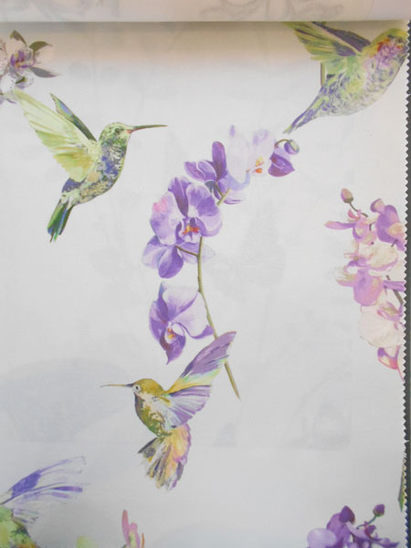 紫　小鳥